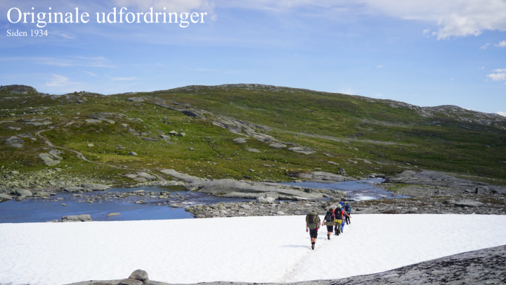 Originale Eventyr - Delfinerne i Norge